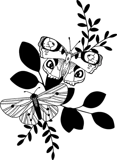 Two patterned butterflies rest on a branch with solid black leaves around them.