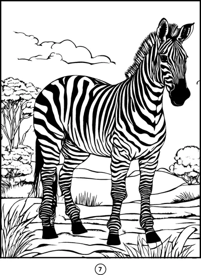 A striped zebra stands on rocks beside a stream with trees and clouds behind it.