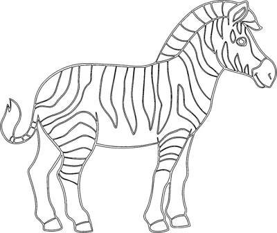 A lightly outlined zebra with stripes stands sideways under the word Zebra.