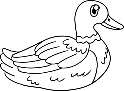 A duck with layered wing feathers floats on the water in profile.