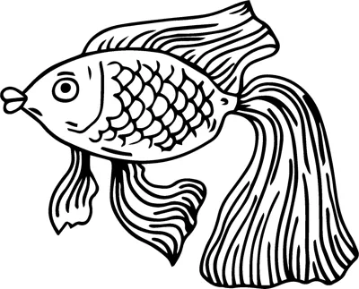 A fish with patterned scales and long flowing fins swims to the left.