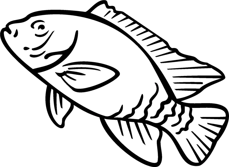 A fish with striped fins and a patterned tail swims in profile.