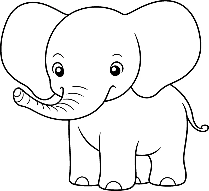 A baby elephant with big ears and a curled trunk walks to the left.