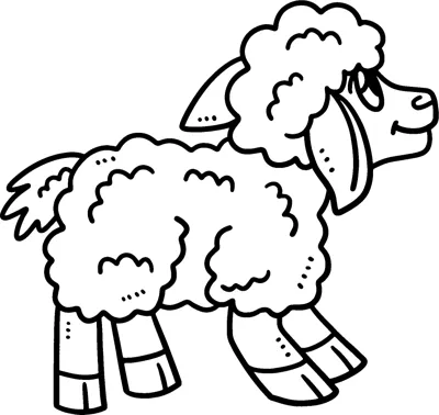 A sheep with thick curly wool and striped legs walks to the right.