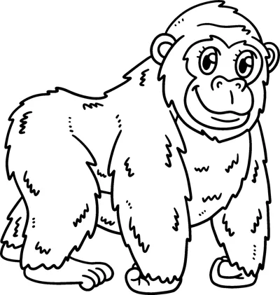 A smiling gorilla with shaggy fur stands on all fours with its knuckles on the ground.