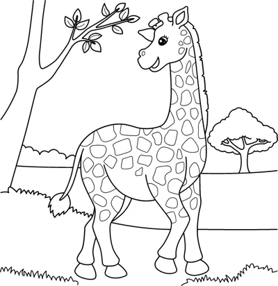 A spotted giraffe walks across grass beside a tree with another tree in the distance.