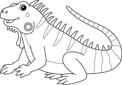 An iguana with a spiny crest along its back and a long tail rests facing left.