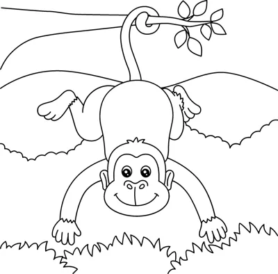 A monkey hangs upside down from a leafy branch by its tail above the grass.