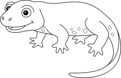 A smiling newt with a few spots on its back and a long tail crawls to the right.