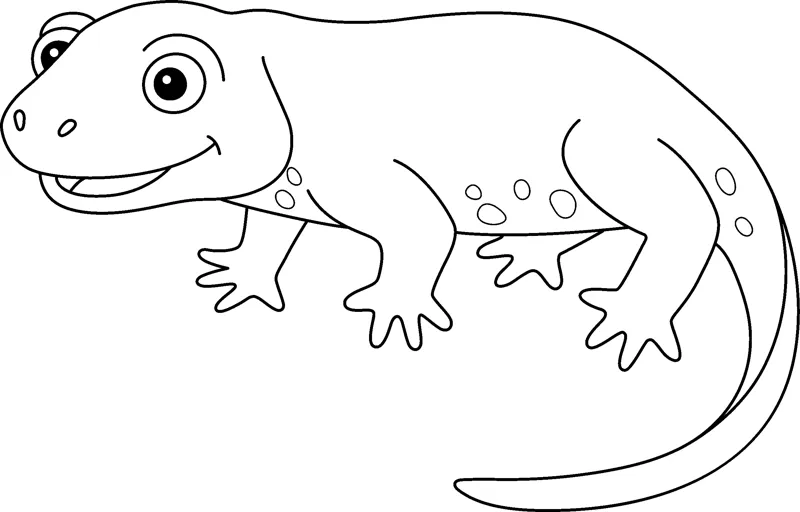 A smiling newt with a few spots on its back and a long tail crawls to the right.