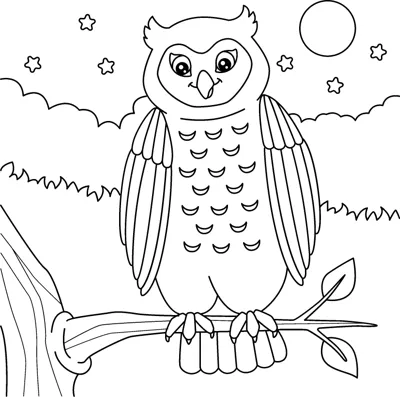 A feathered owl sits on a branch at night with a moon and stars overhead.