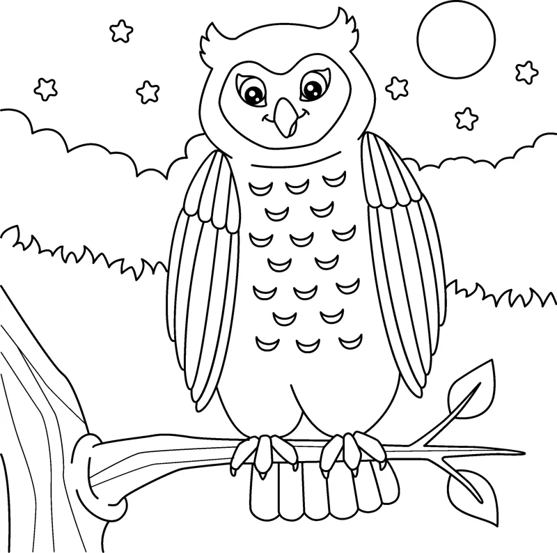 A feathered owl sits on a branch at night with a moon and stars overhead.