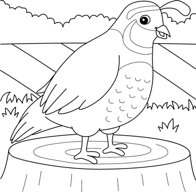 A quail with a head plume and spotted chest stands on a tree stump beside a fence.