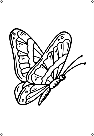 A large butterfly with detailed veined wings and long antennae is shown tilted inside a thin border.