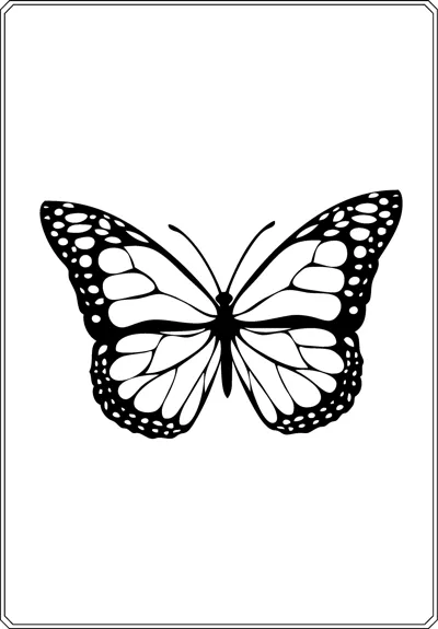 A butterfly with open wings edged in dark borders and white spots sits centered in a thin frame.