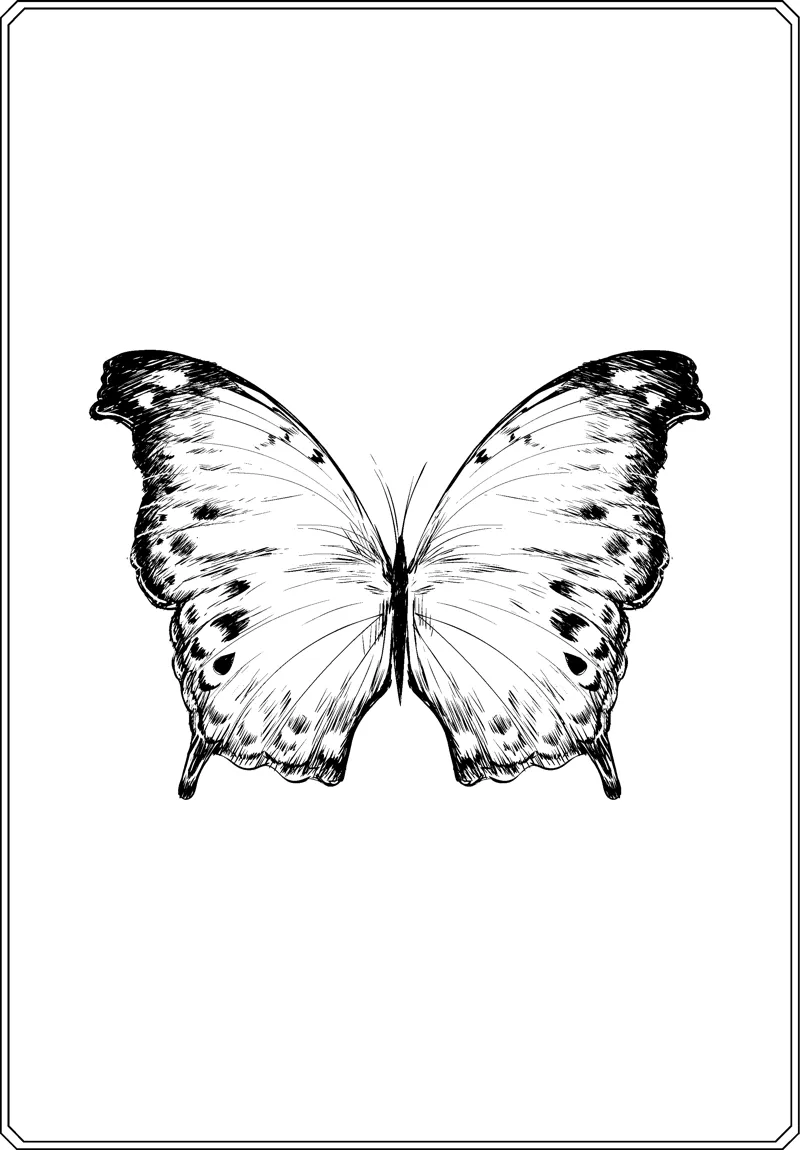 A butterfly with open wings shaded darker toward the edges and small spots sits in a thin frame.