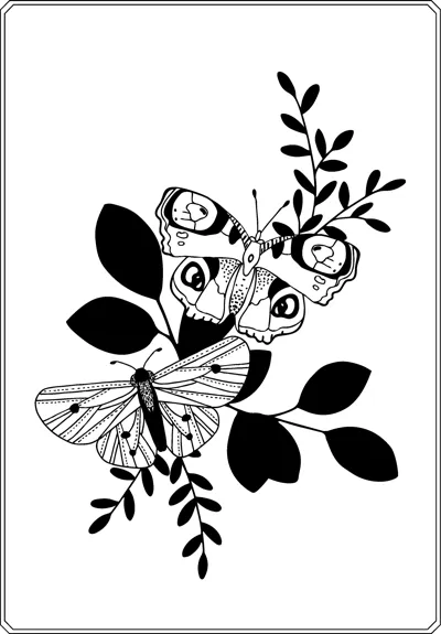 Two patterned butterflies rest on a branch with solid black leaves around them.