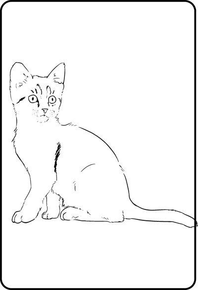 A kitten sits facing forward drawn with thin sketch lines inside a thin frame.