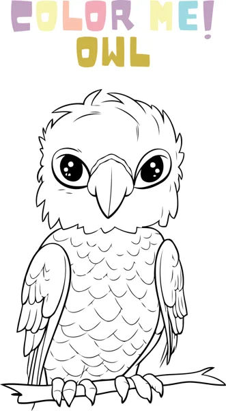 An owl with scalloped chest feathers perches on a branch under the heading Color Me Owl.