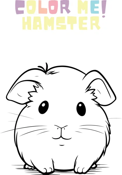 A round, fluffy hamster with big black eyes and whiskers sits facing the viewer.