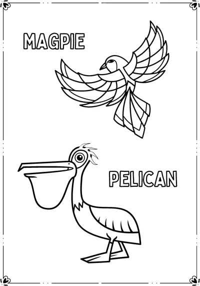 A magpie flies with spread wings above a pelican with a large beak, each labelled by name.