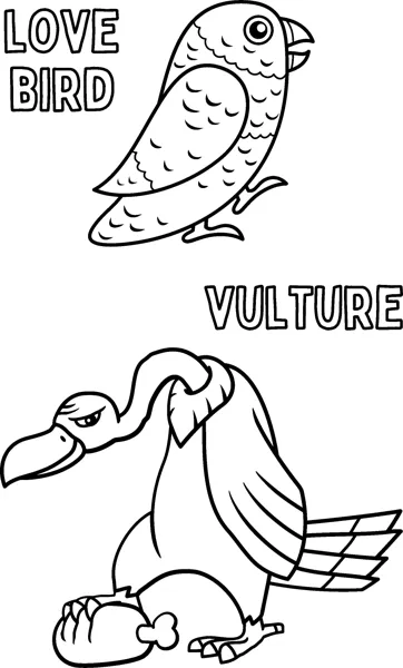 A small love bird perches above a hunched vulture standing next to a bone, both labelled.