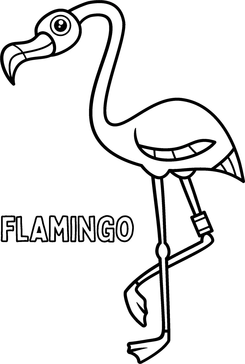 A long-necked flamingo stands on one leg with its name printed in the corner.