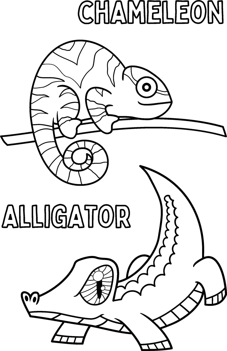 A chameleon clings to a twig above a patterned alligator, both labelled with their names.