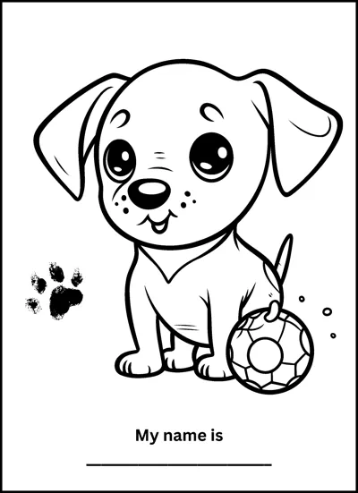 A floppy-eared puppy sits next to a soccer ball with a paw print and a name line below.