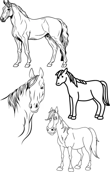 Four horses in different poses stand and trot across the page, one shown head only.