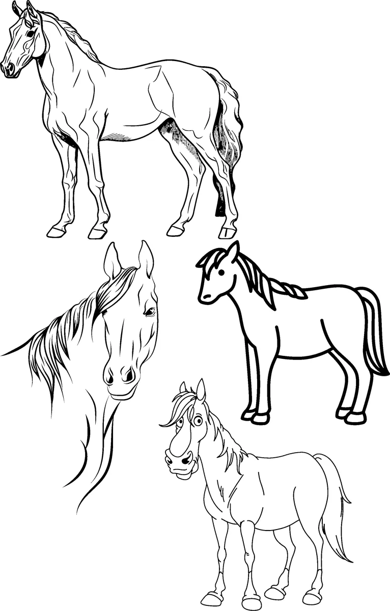 Four horses in different poses stand and trot across the page, one shown head only.