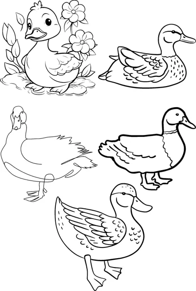 Five ducks in different poses swim, waddle and sit among small flowers.