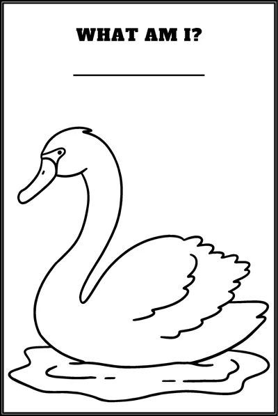 A swan with a curved neck floats on water under the question What Am I and a blank line.