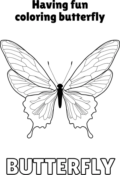 A butterfly with veined wings and tail points is centred under a Having Fun heading.