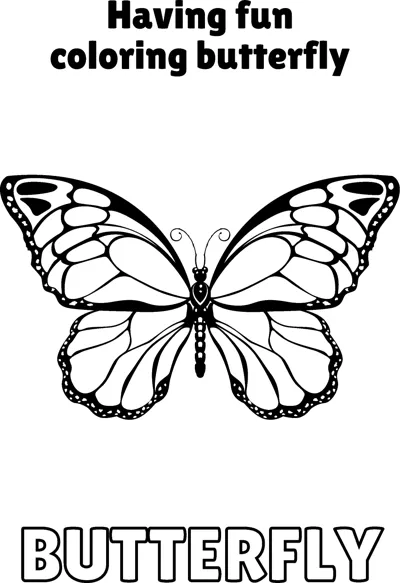 A butterfly with dark bordered wings and inner panels is centred under a Having Fun heading.