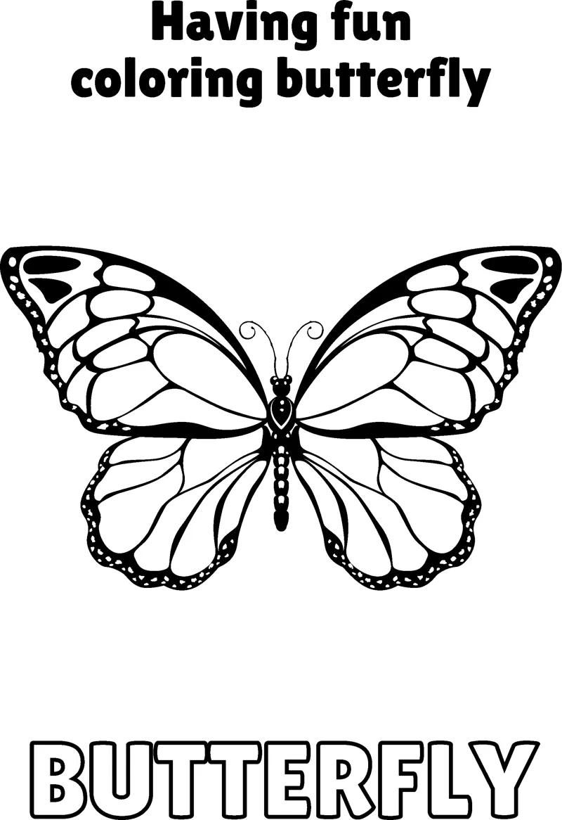 A butterfly with dark bordered wings and inner panels is centred under a Having Fun heading.