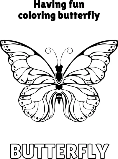 A butterfly with rounded wings, dotted borders and vein cells is centred under a heading.