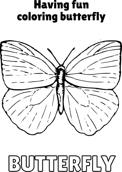 A butterfly with wide, softly veined wings is centred under a Having Fun heading.