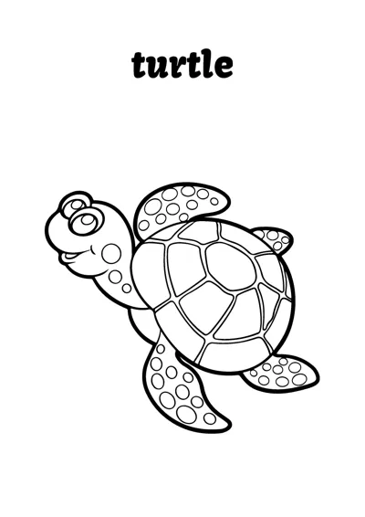 A sea turtle with a sectioned shell and spotted flippers paddles under the word turtle.