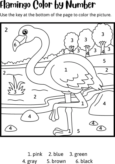 A flamingo stands by a lake with trees and rocks, with numbered areas and a six-colour key below.