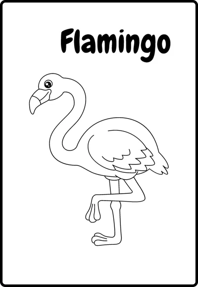 A flamingo with a curved neck stands on one leg under the word Flamingo.