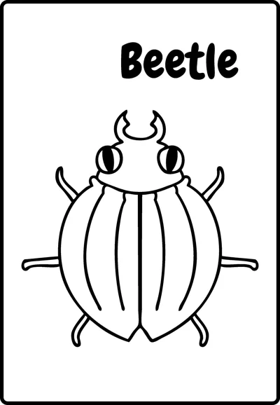 A beetle with striped wing covers and big eyes is seen from above under the word Beetle.