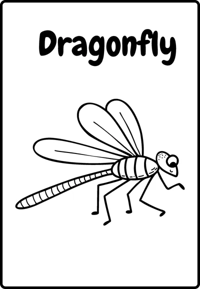 A dragonfly with two pairs of wings and a long striped tail flies under the word Dragonfly.