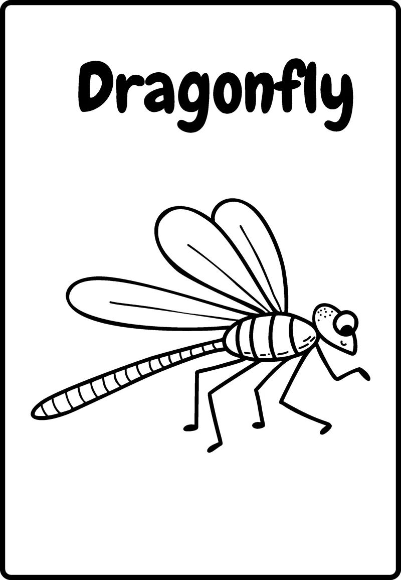A dragonfly with two pairs of wings and a long striped tail flies under the word Dragonfly.
