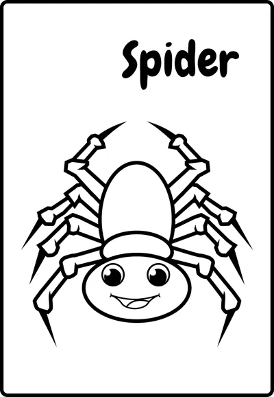A smiling spider with eight bent legs and a round body faces forward under the word Spider.