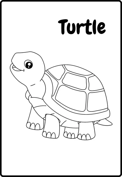 A smiling turtle with a patterned shell walks to the left, labelled Turtle, inside a rounded frame.