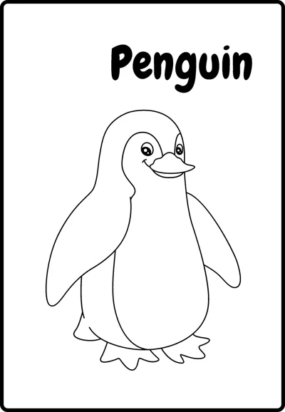 A round penguin with a smiling beak stands facing forward, labelled Penguin, inside a rounded frame.