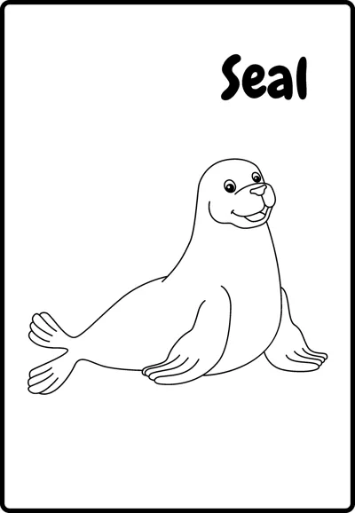 A smiling seal sits upright with its flippers spread, labelled Seal, inside a rounded frame.