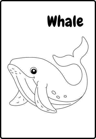 A smiling whale with a raised tail and small flipper swims to the right, labelled Whale, inside a rounded frame.