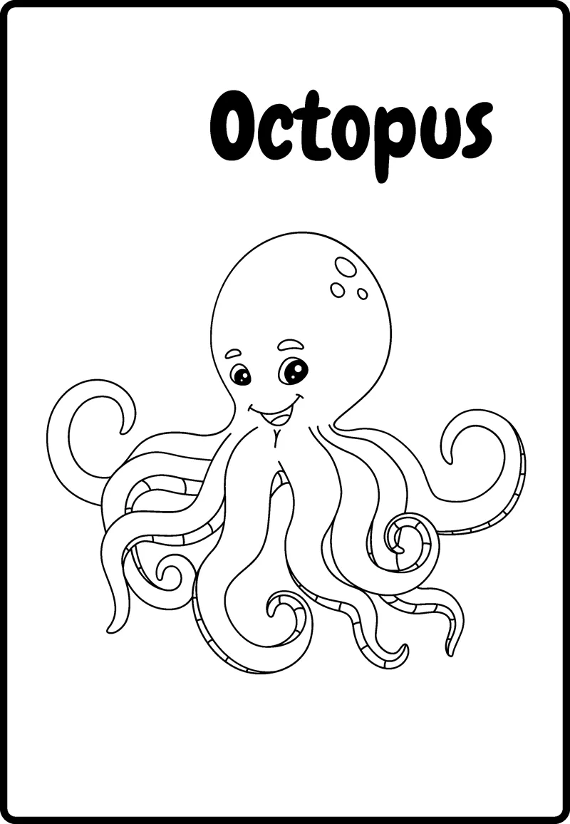 A smiling octopus with a round head and eight curling arms, labelled Octopus, inside a rounded frame.